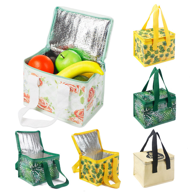 Portable Cooler Bags for Food